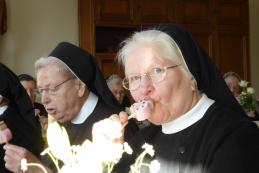 Mittagessen - es darf auch mal mit Dessert sein!